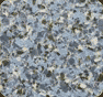 Floors Transformed image